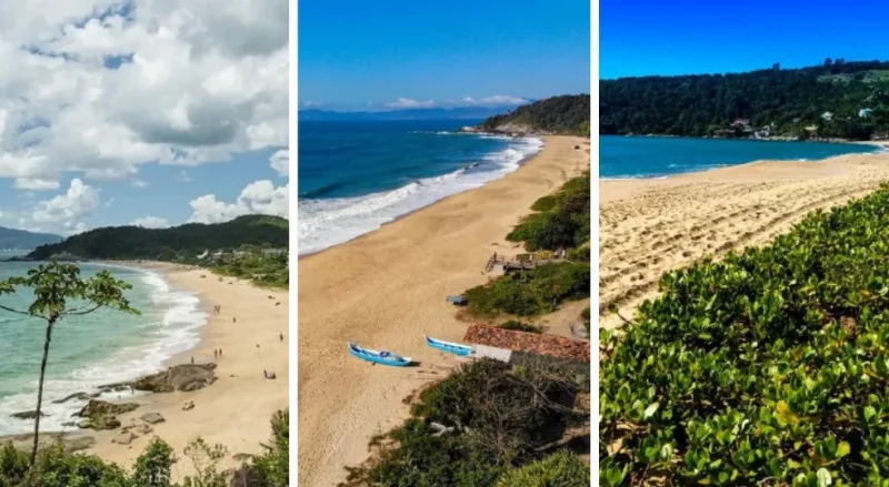 As 15 praias de Santa Catarina premiadas com Bandeira Azul