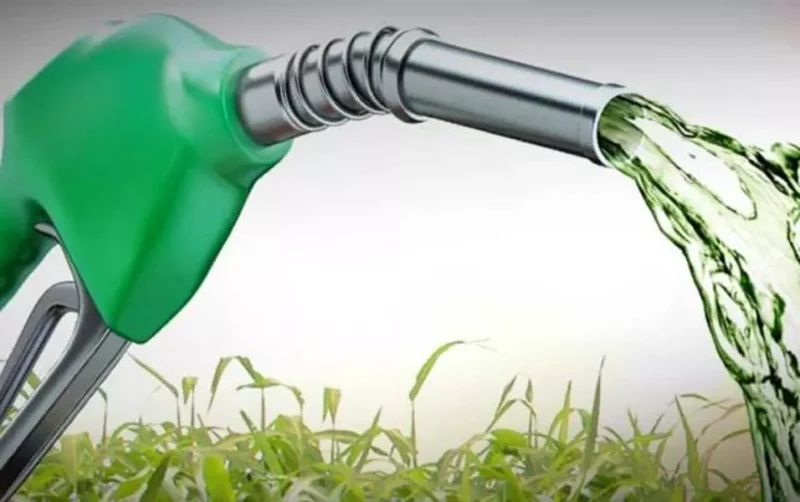 São Paulo, Rio de Janeiro e outras sete capitais têm etanol mais vantajoso do que gasolina