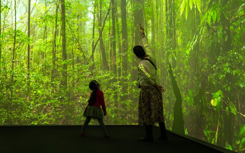 Museu do Amanhã inaugura exposição “Sentir Mundo – Uma jornada imersiva”