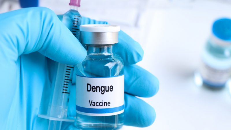 Ministério da Saúde anuncia 521 cidades que vão aplicar vacina da dengue