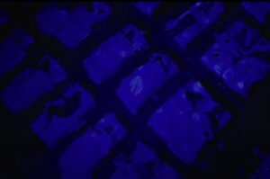 Na China, nova tendência para shows é assistir deitado em camas