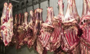 União Europeia suspende compra de carne e produtos de origem animal do Brasil