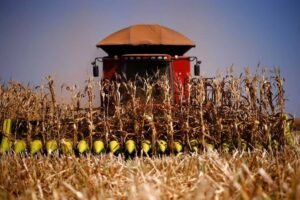Brasil pode passar os EUA como o maior exportador agrícola do mundo