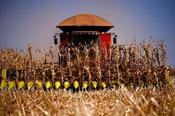 Brasil pode passar os EUA como o maior exportador agrícola do mundo